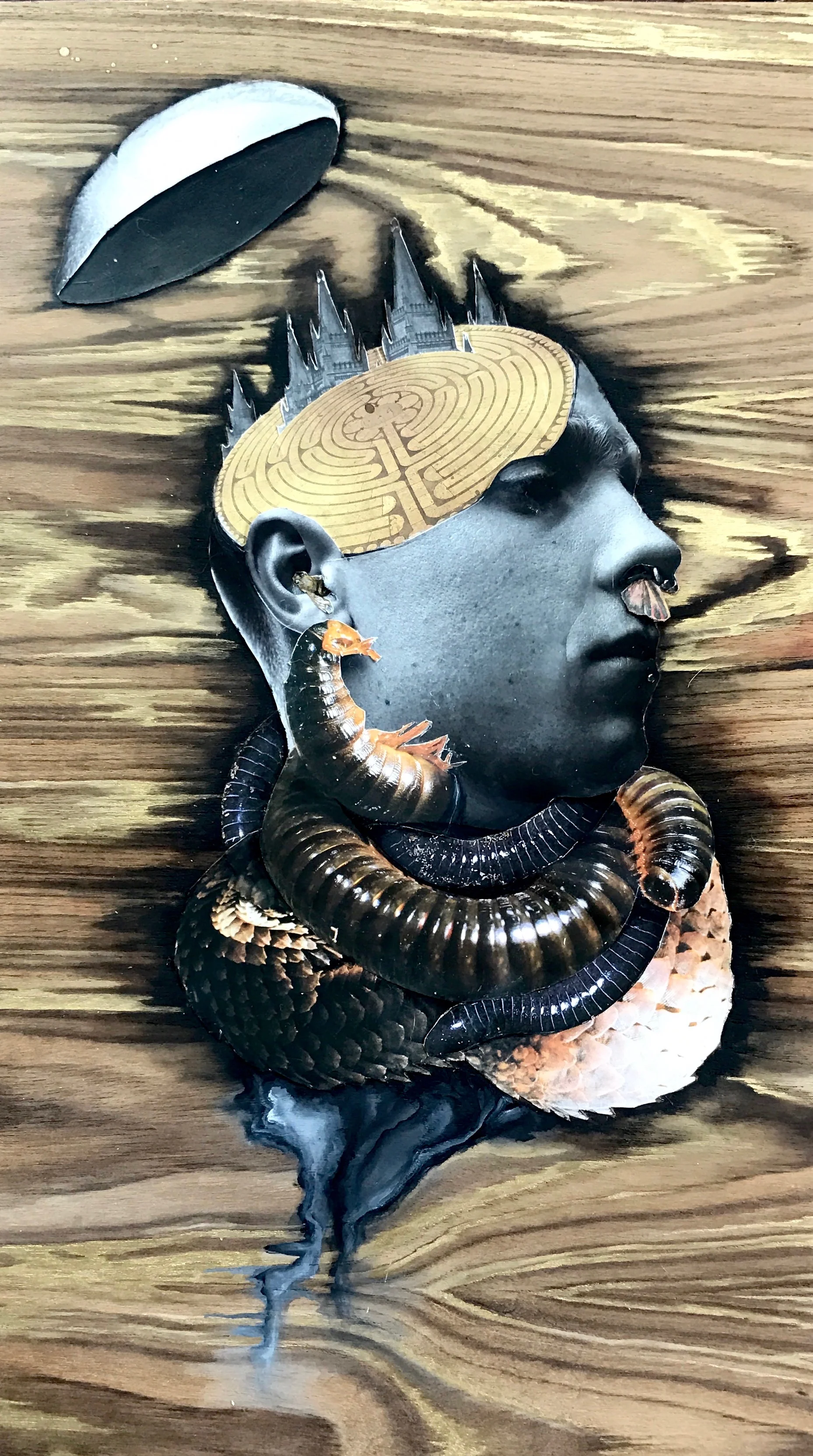 In Pursuit of Perfect Decay