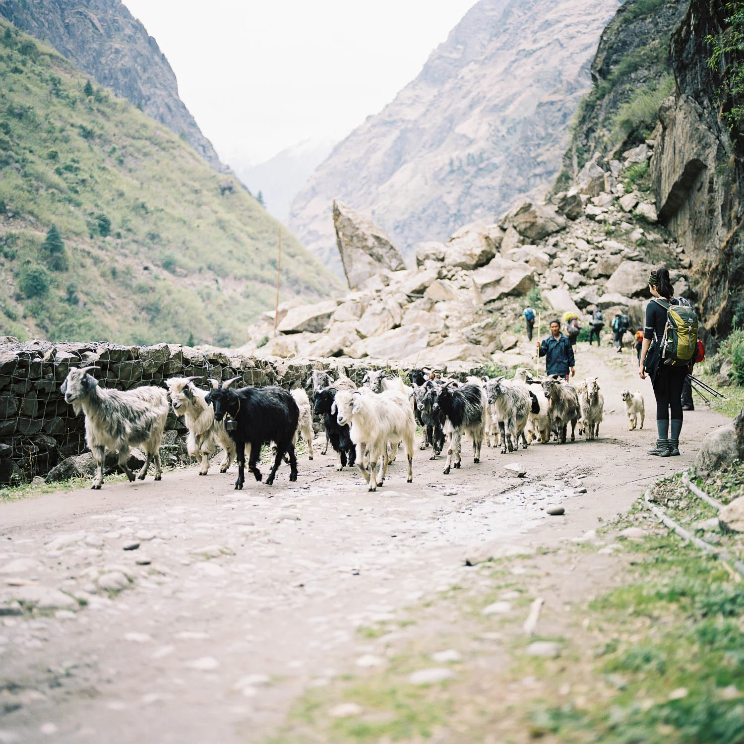 nepal