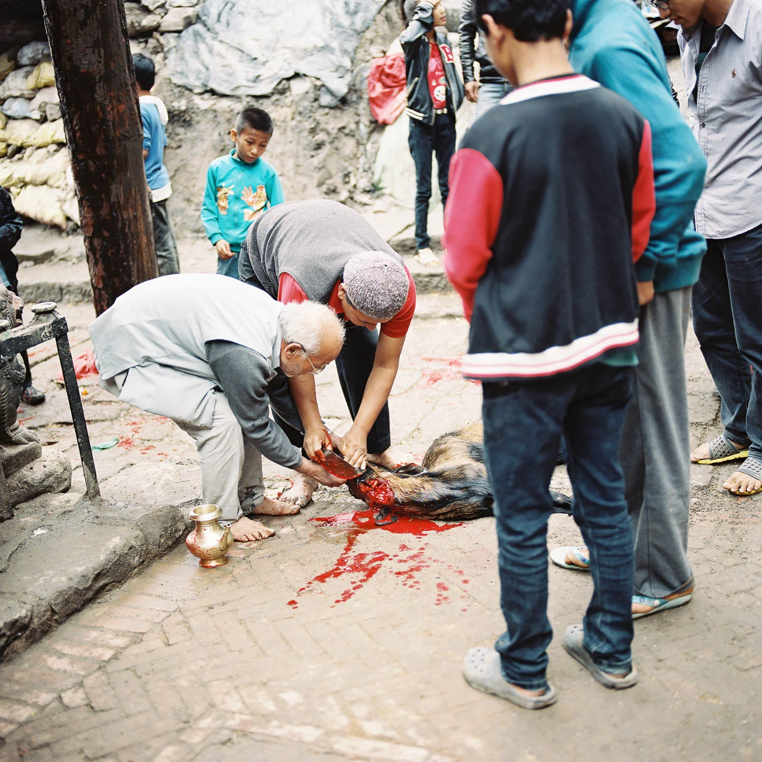 nepal