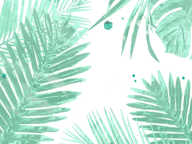 welcome to free in the lines // 5.1.15