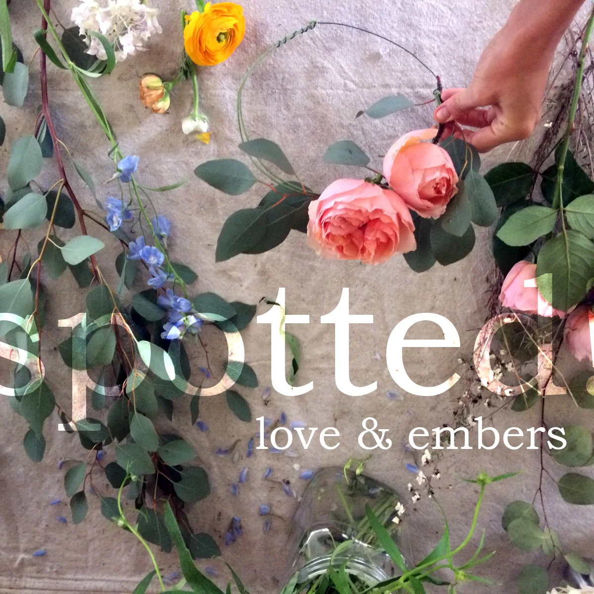 spotted! Lisa Groveman of Love & Embers // 6.1.15