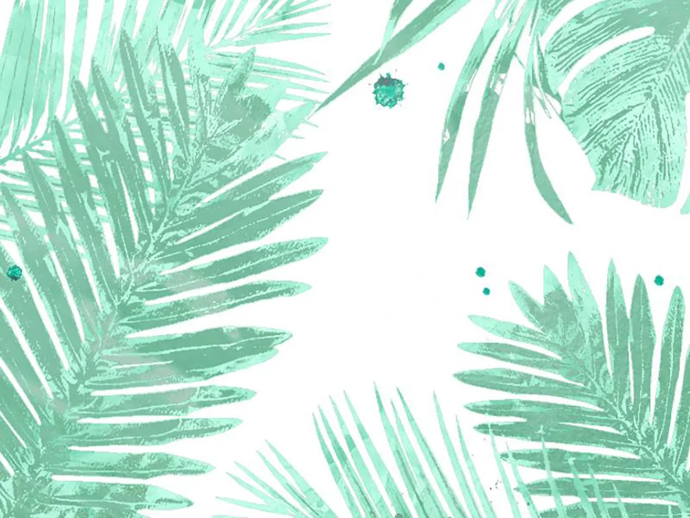 shop news // 10.18.15