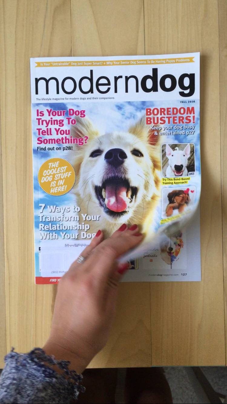 #freeinthelines shop update