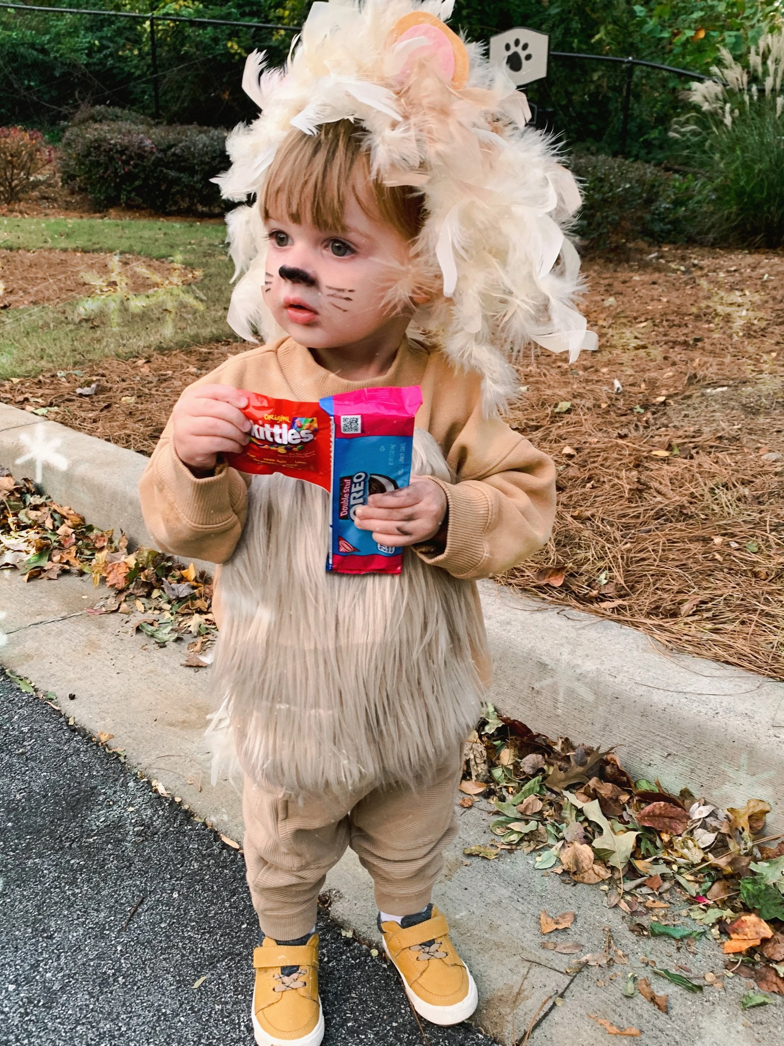 Homemade Lion Halloween Costume