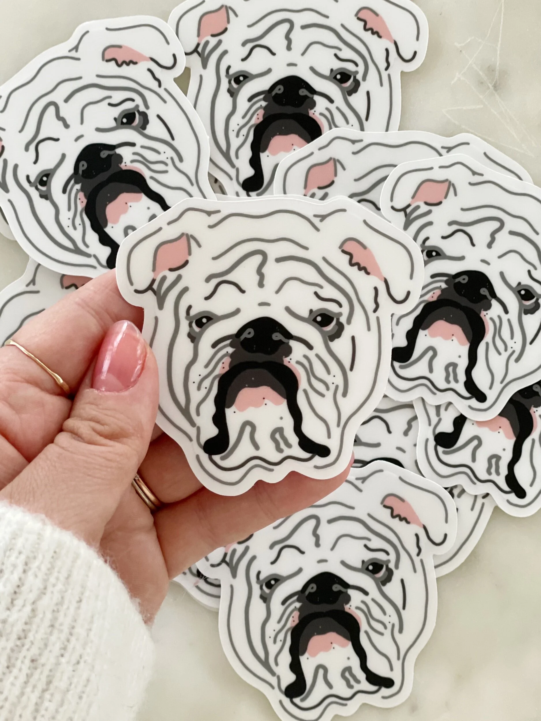 grumpy white bulldog face sticker held over a puddle of the same sticker