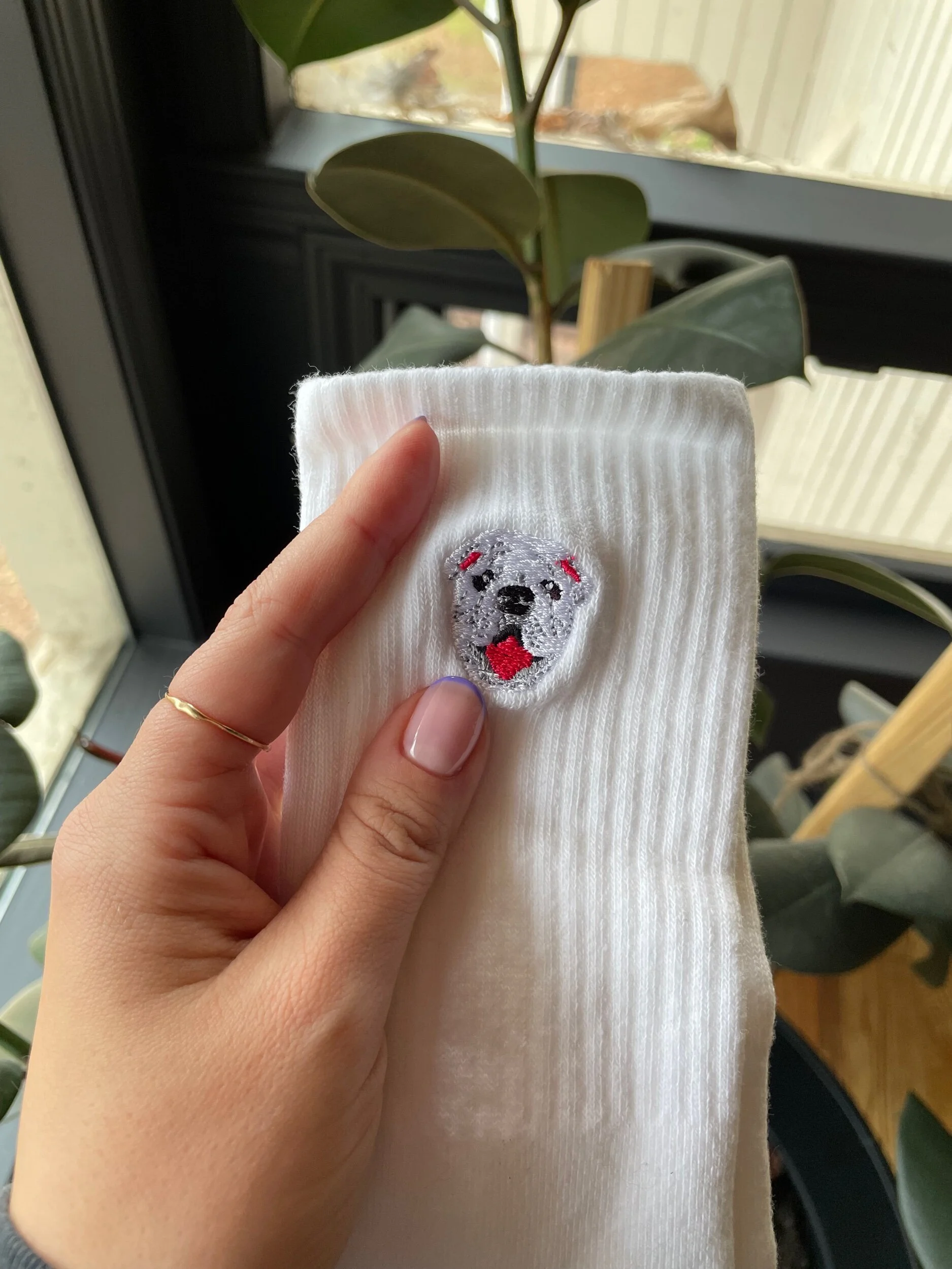 D88889B7-C367-412B-87BC-5E7F00C1B793