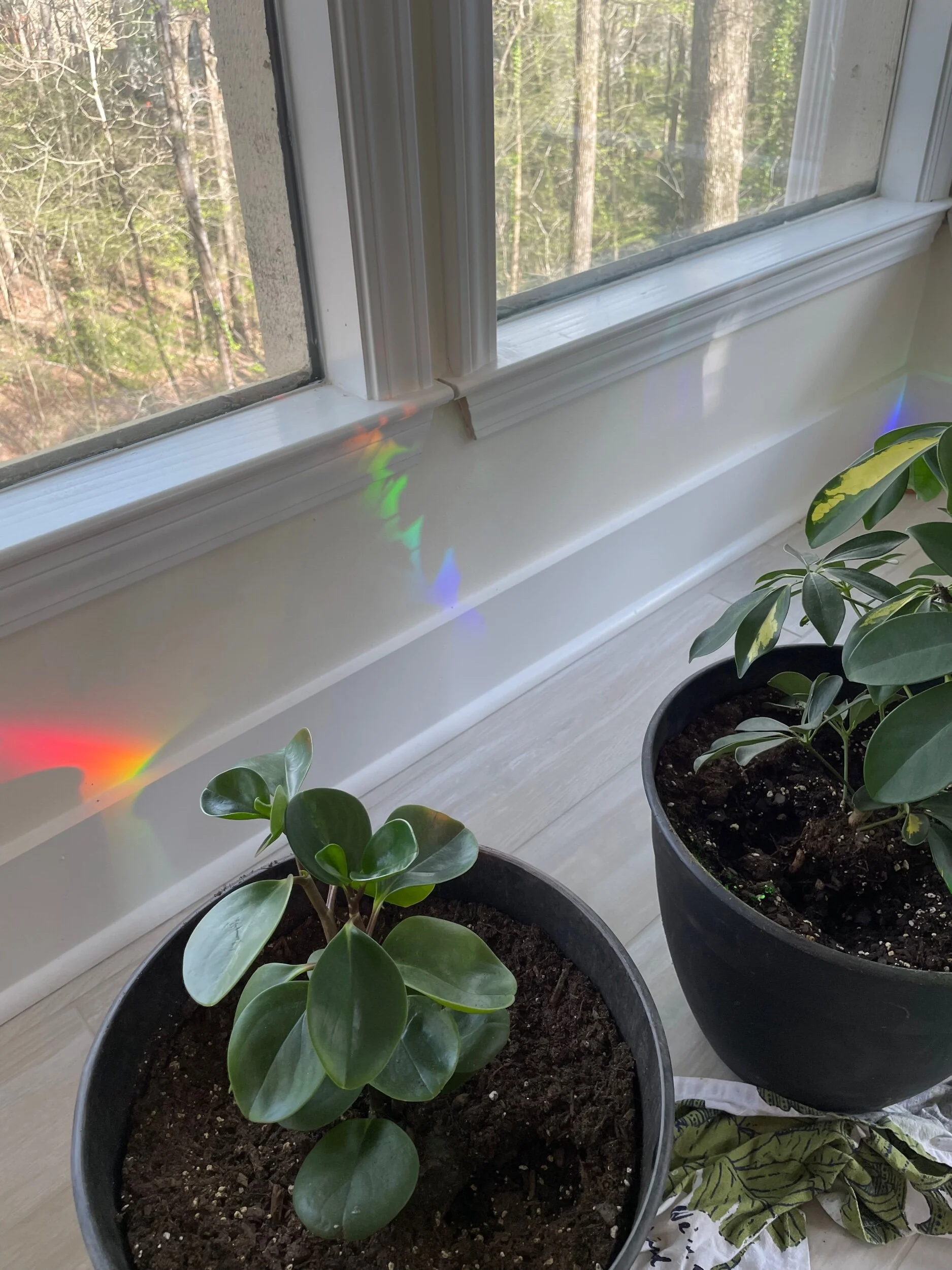 E651A3DB-B64A-4EDA-874B-CC65E9BE853F