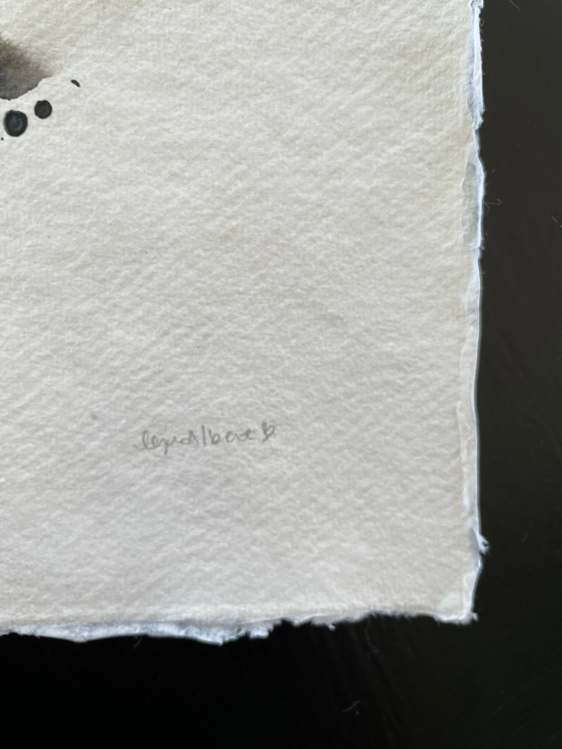 2800AE8F-382B-4D07-9BCD-A8D3F16365B5