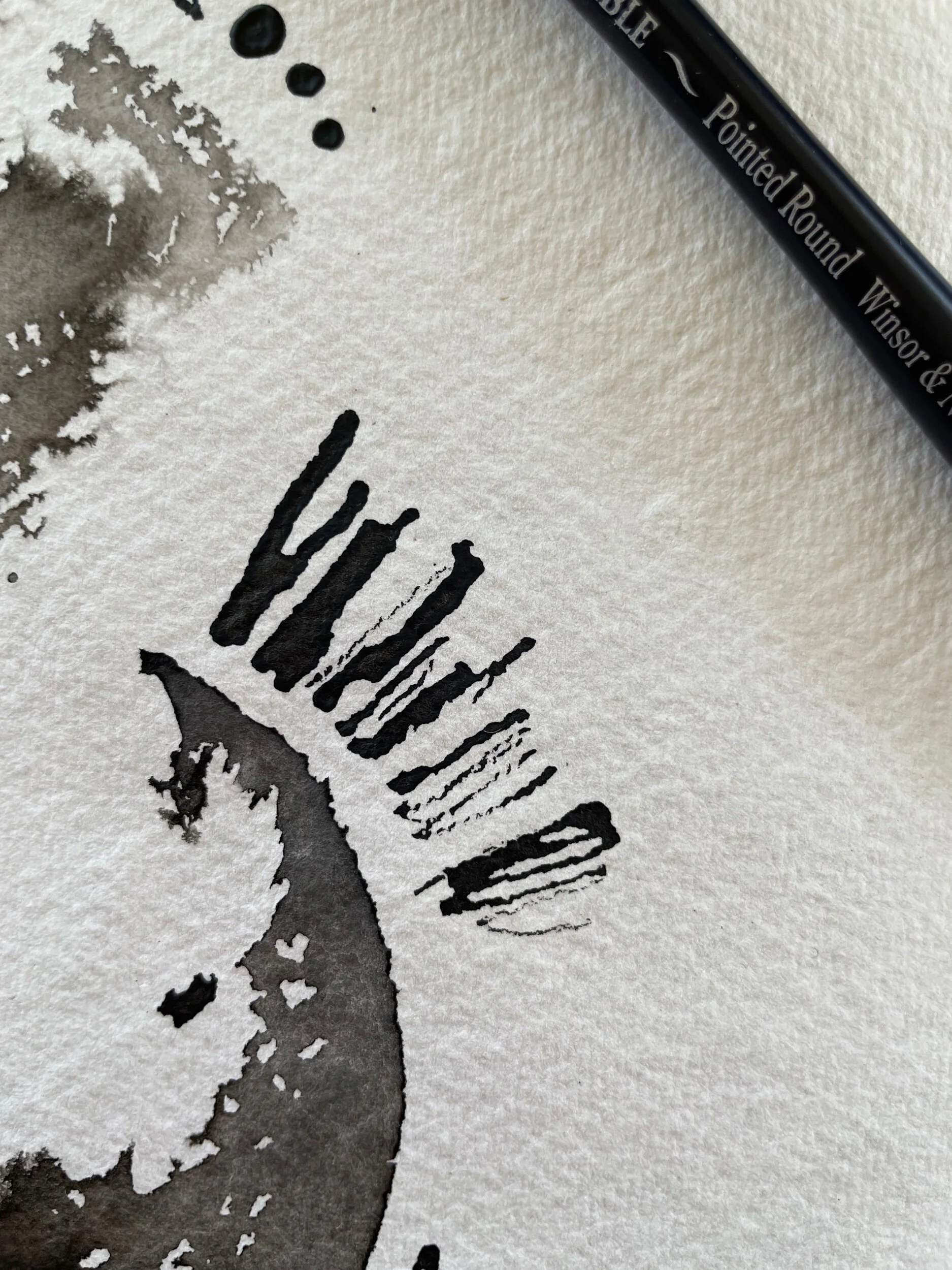 100CC2A8-19B7-4DFE-9AD6-C38093365EAD