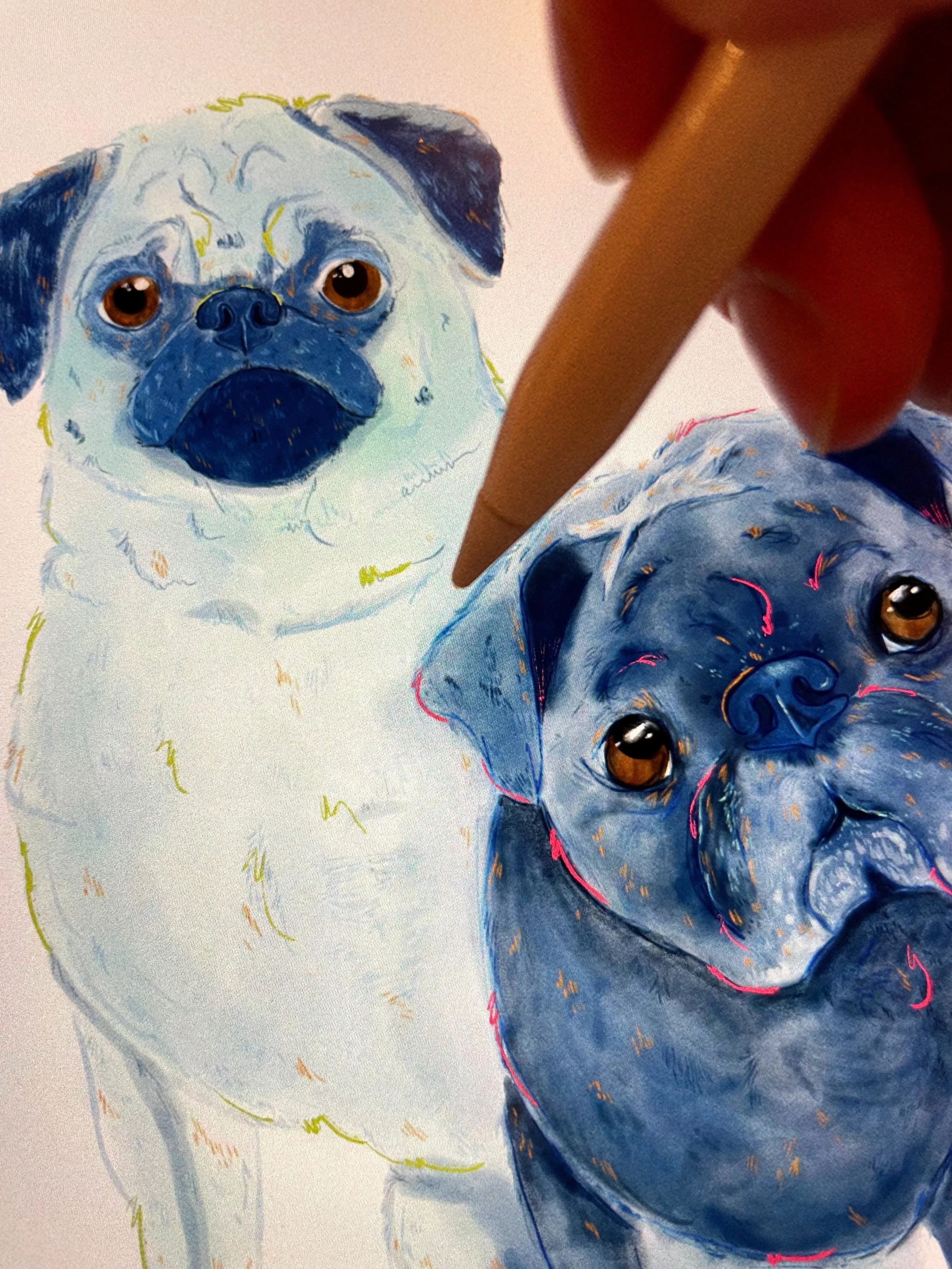 additional-pet-promo-image-2024.JPG