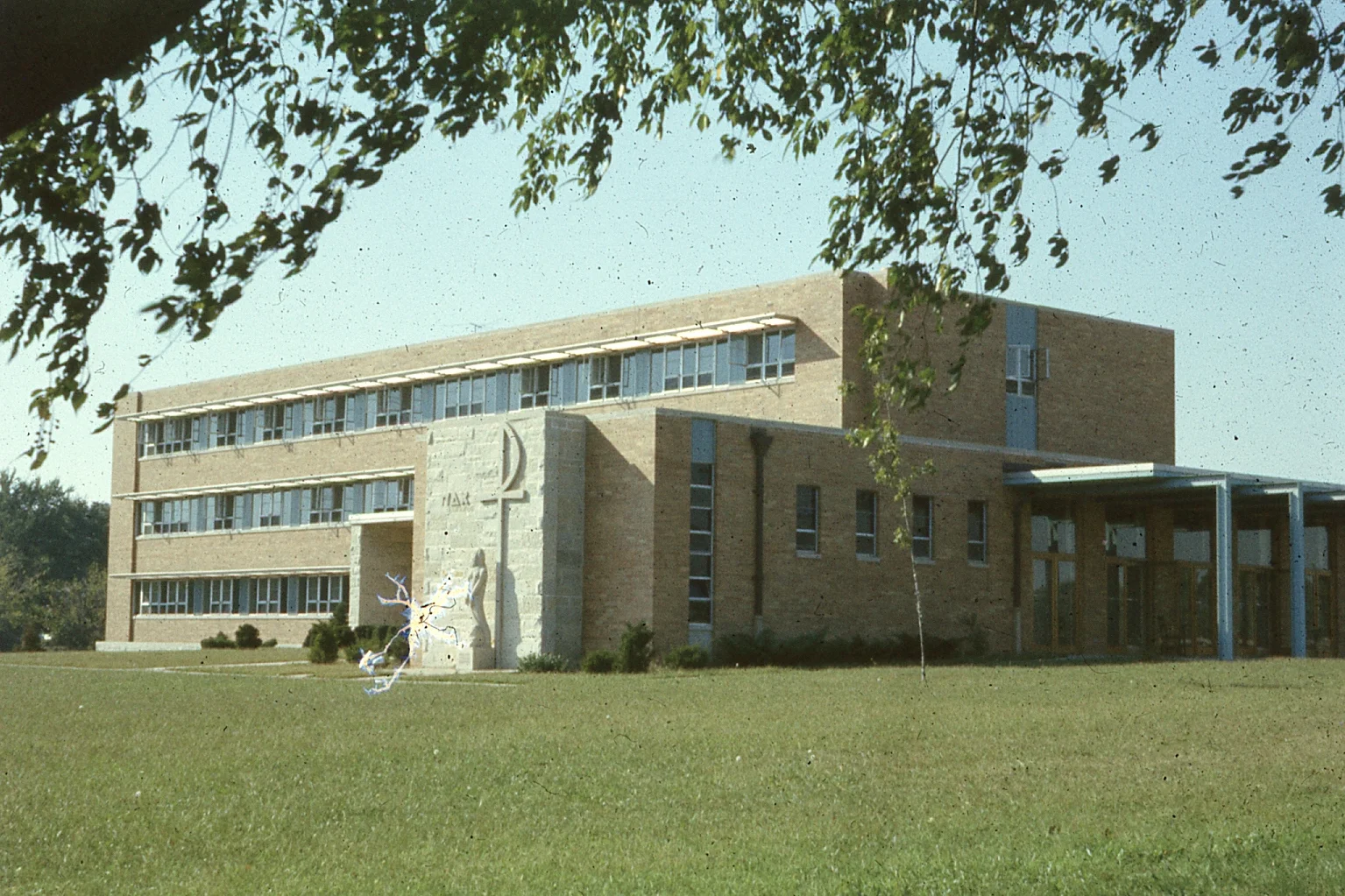 img007.jpg