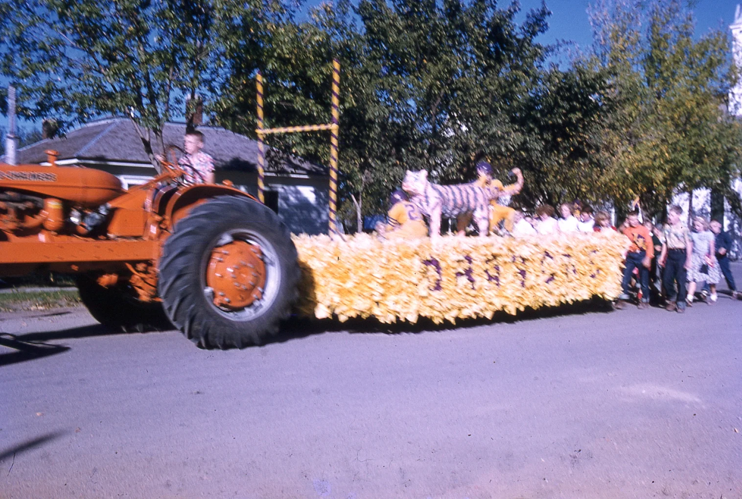 img019.jpg