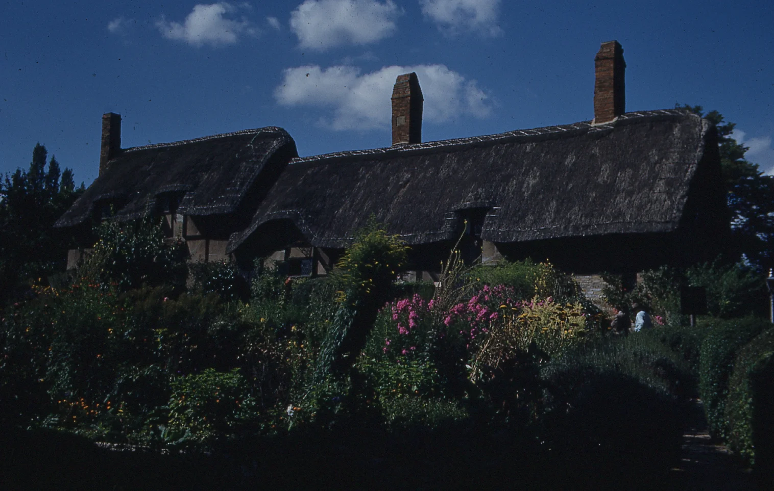 img002.jpg