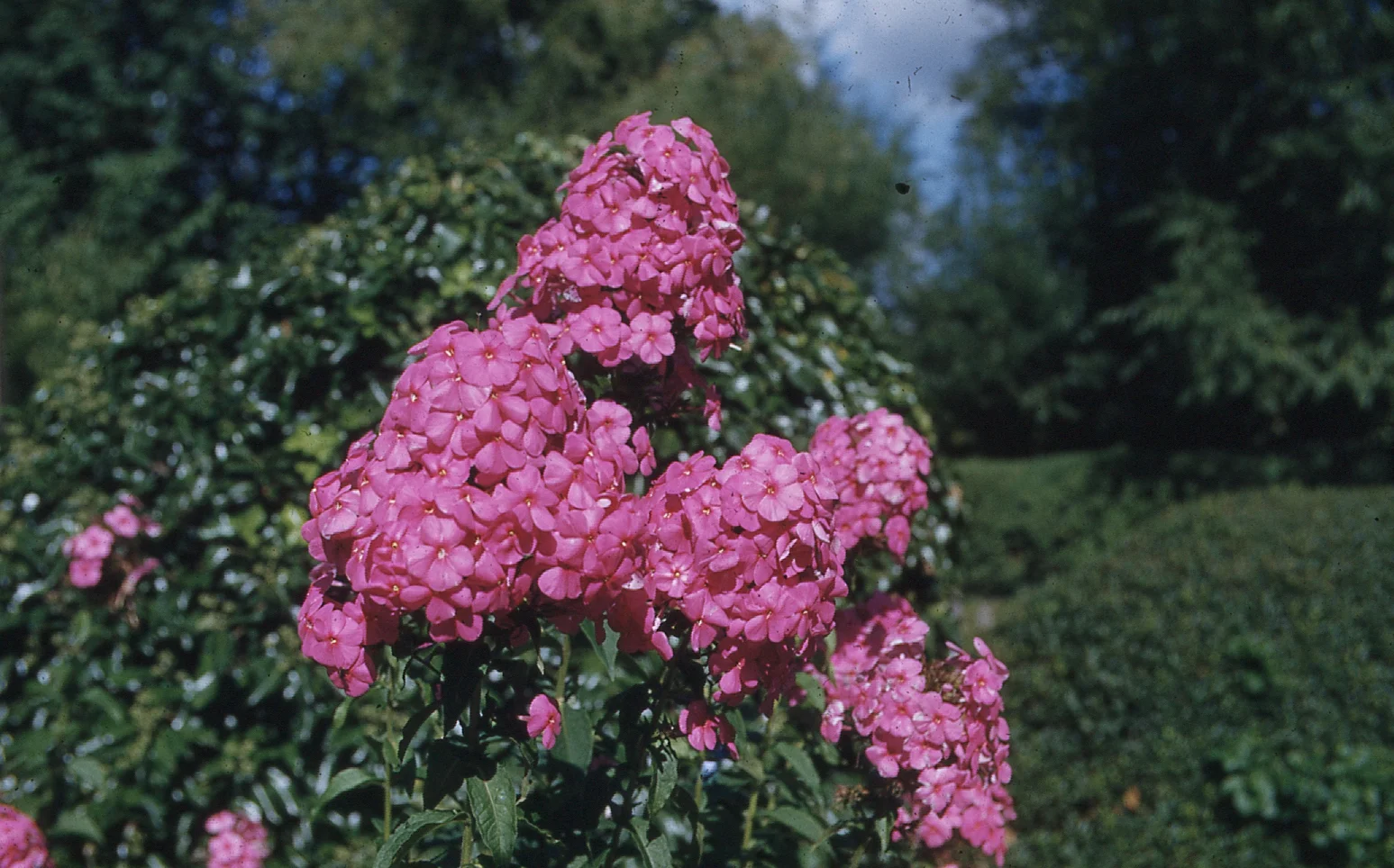 img001.jpg