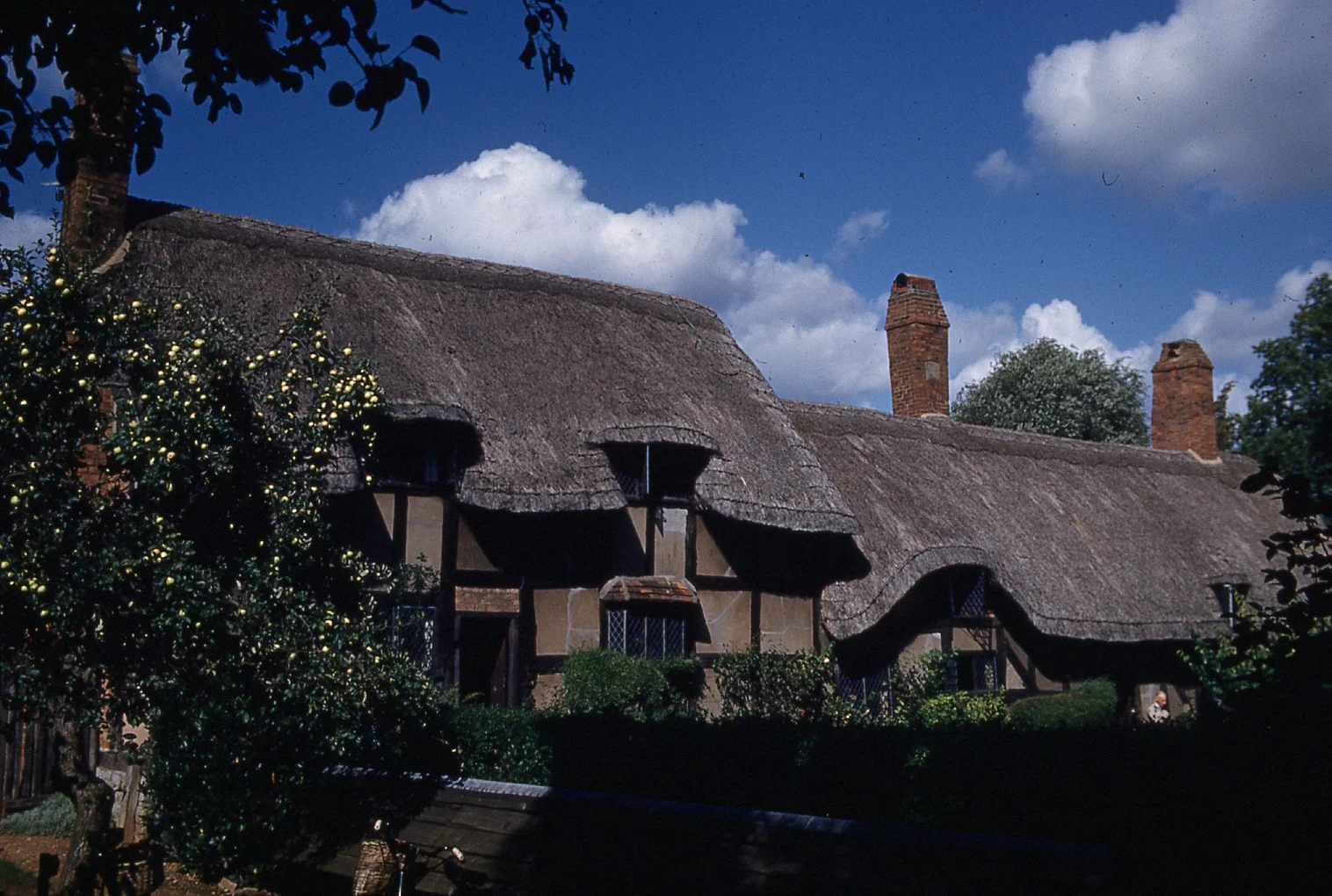 img003.jpg