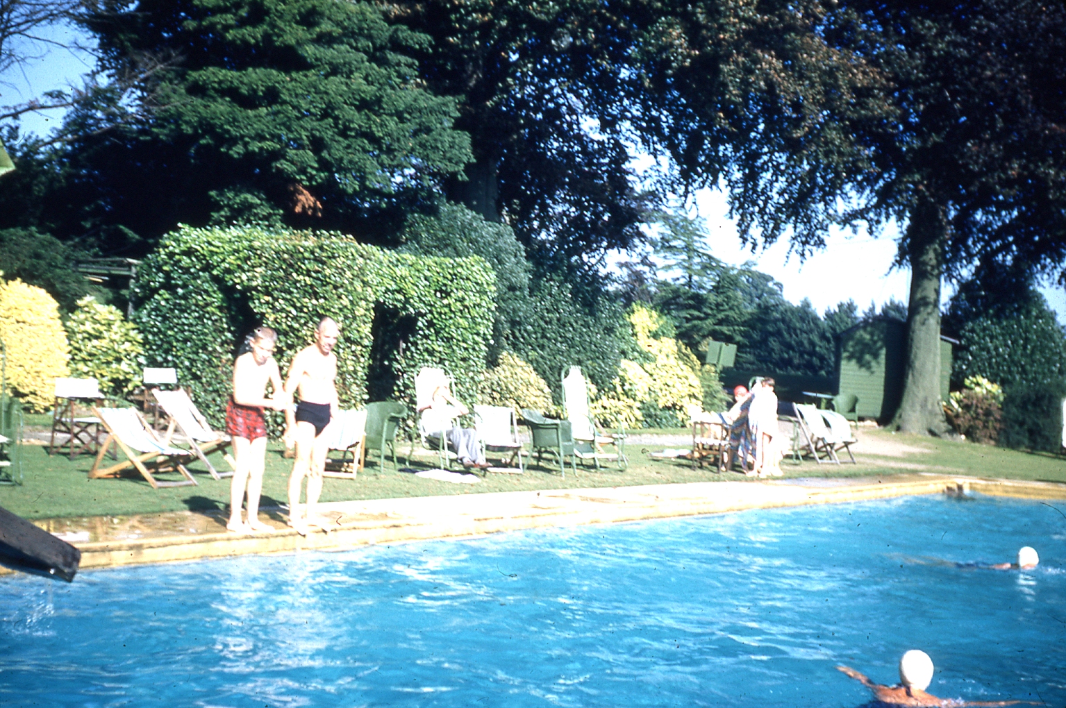 img003.jpg