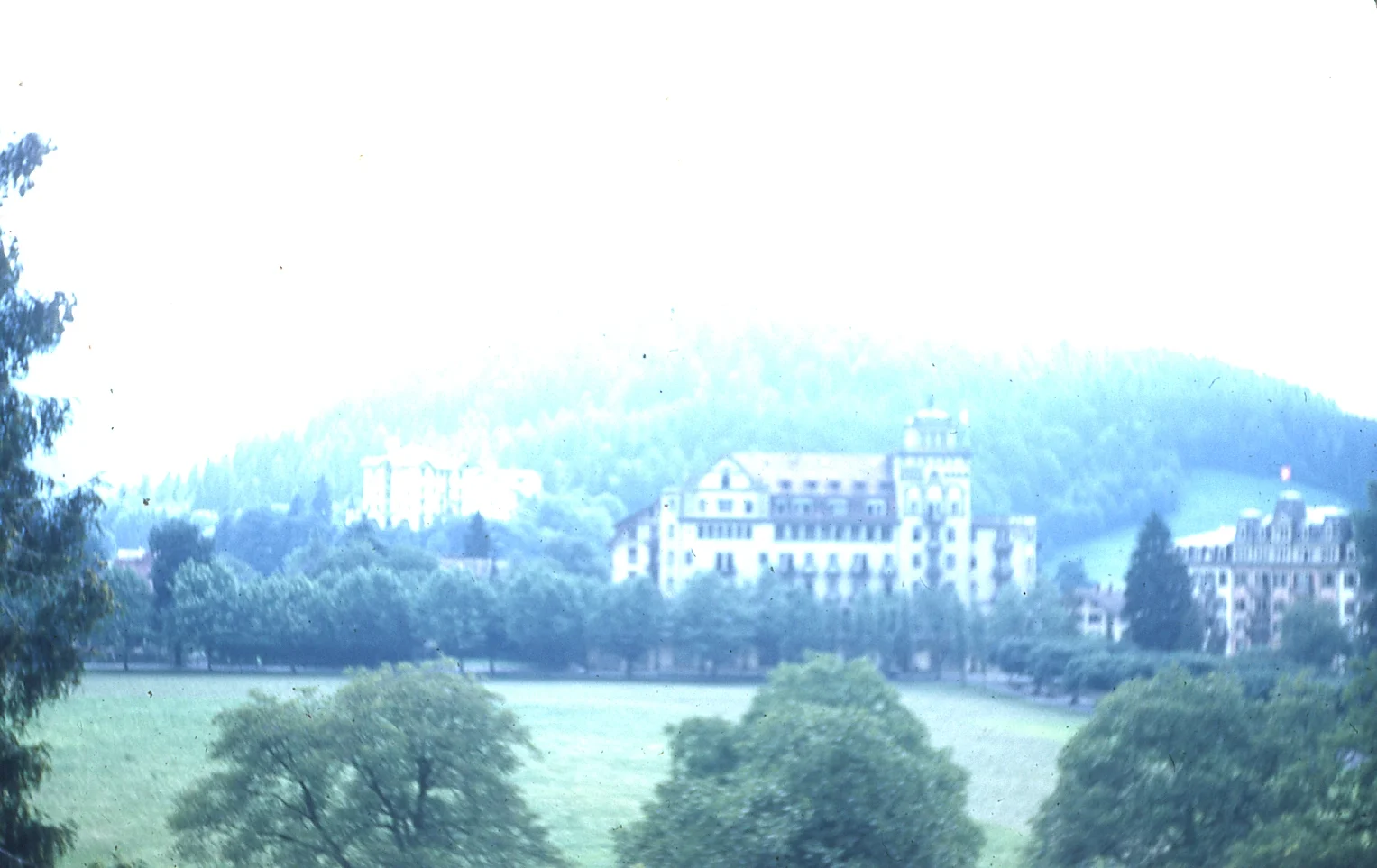 img004.jpg