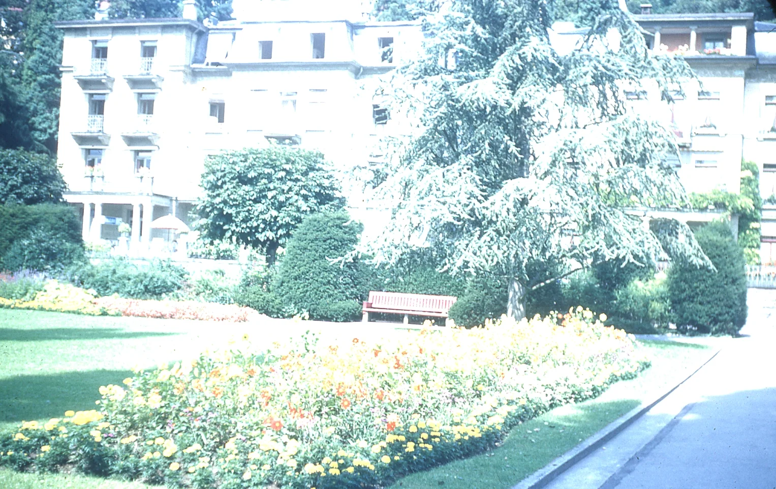 img008.jpg