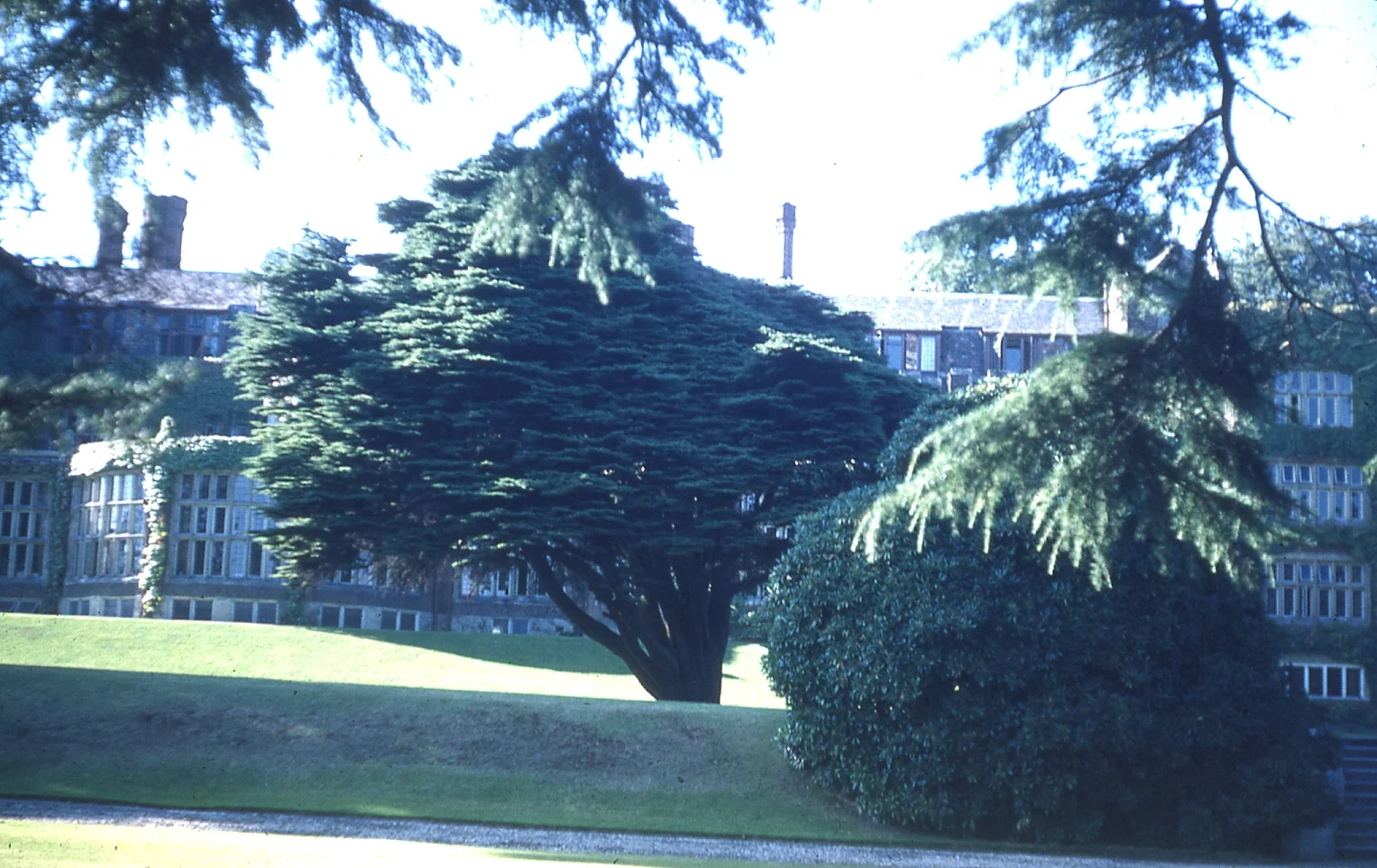 img012.jpg