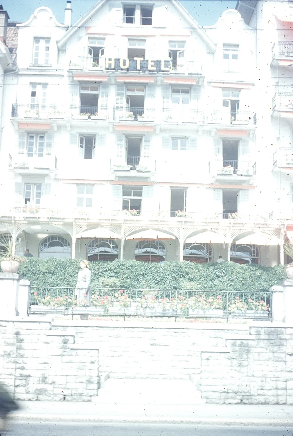 img009.jpg