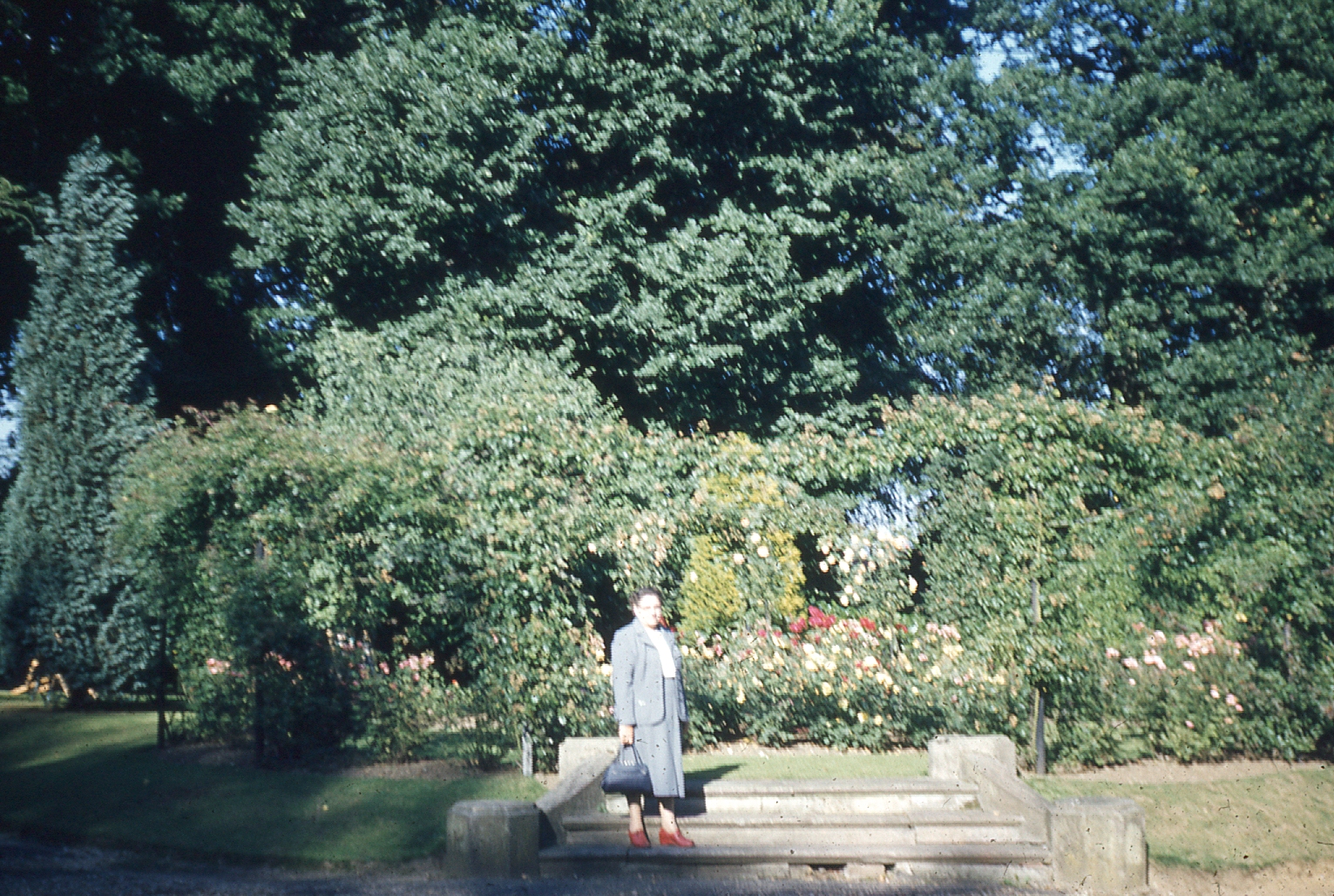 img001.jpg