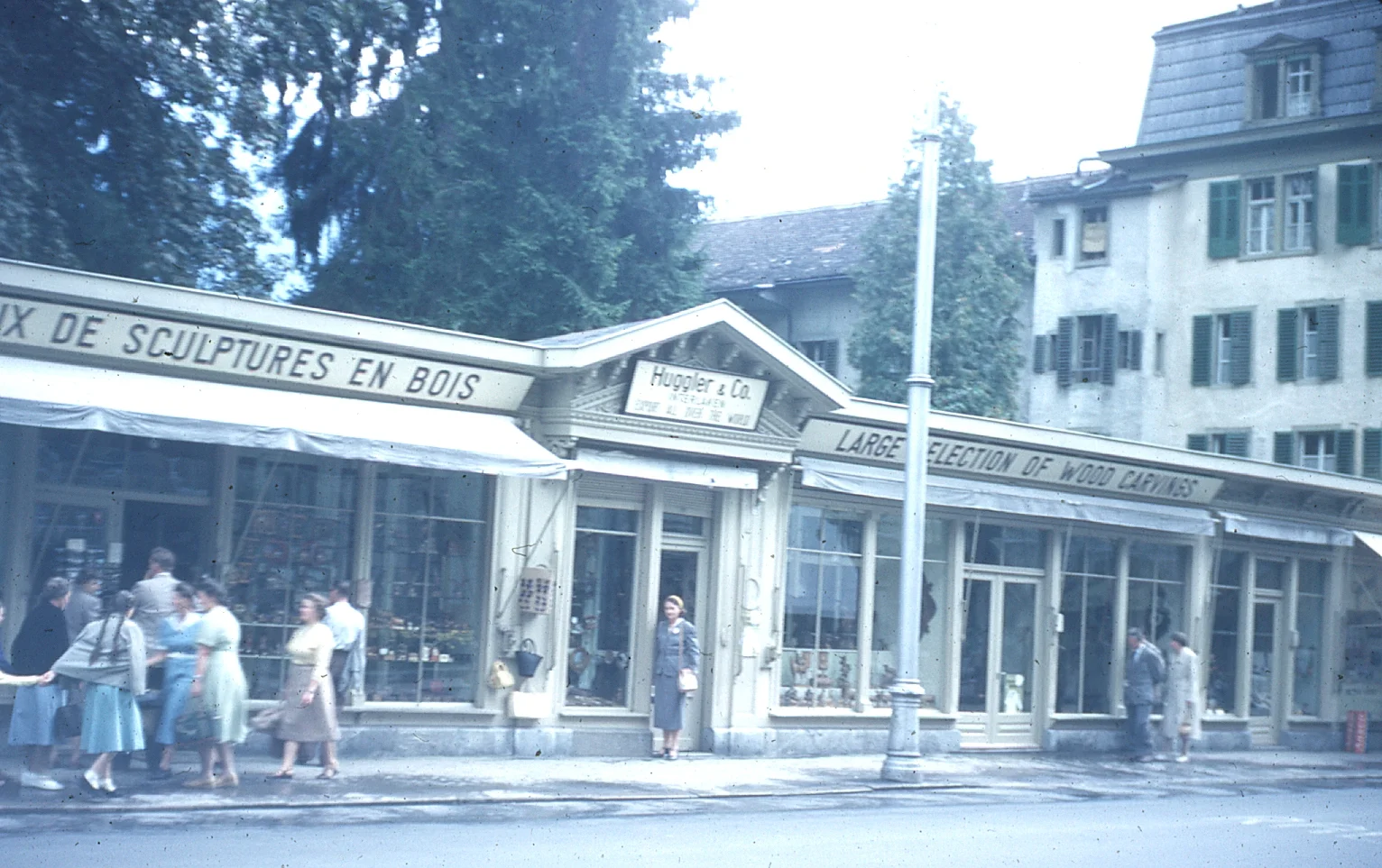 img010.jpg