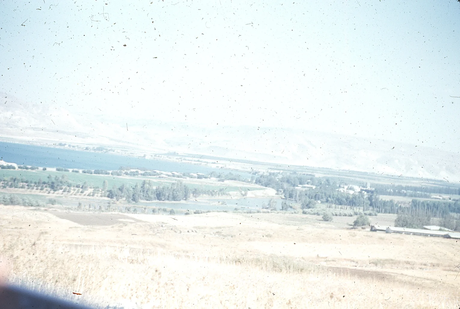 img013.jpg