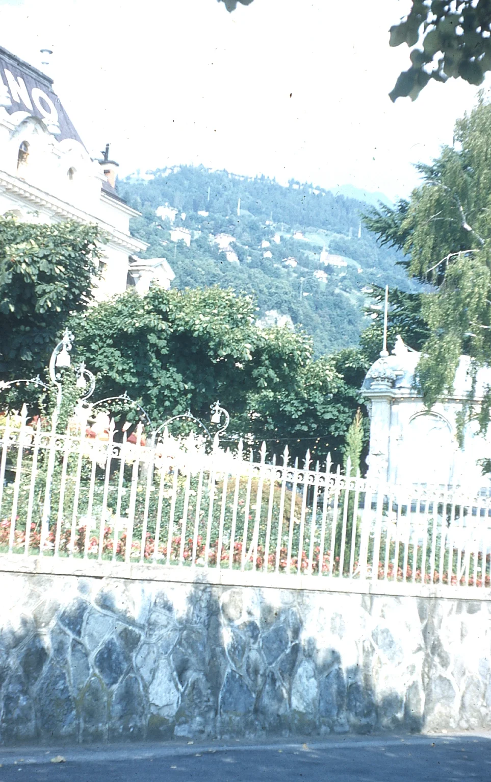img006.jpg