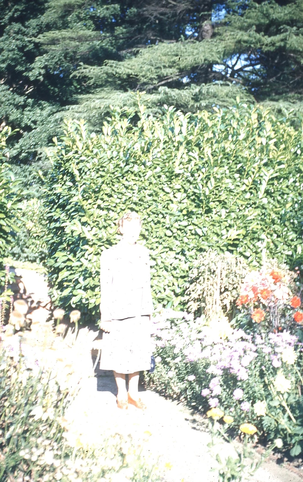 img002.jpg