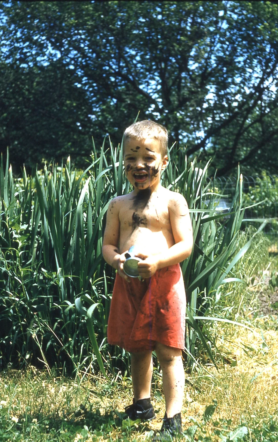 img004.jpg