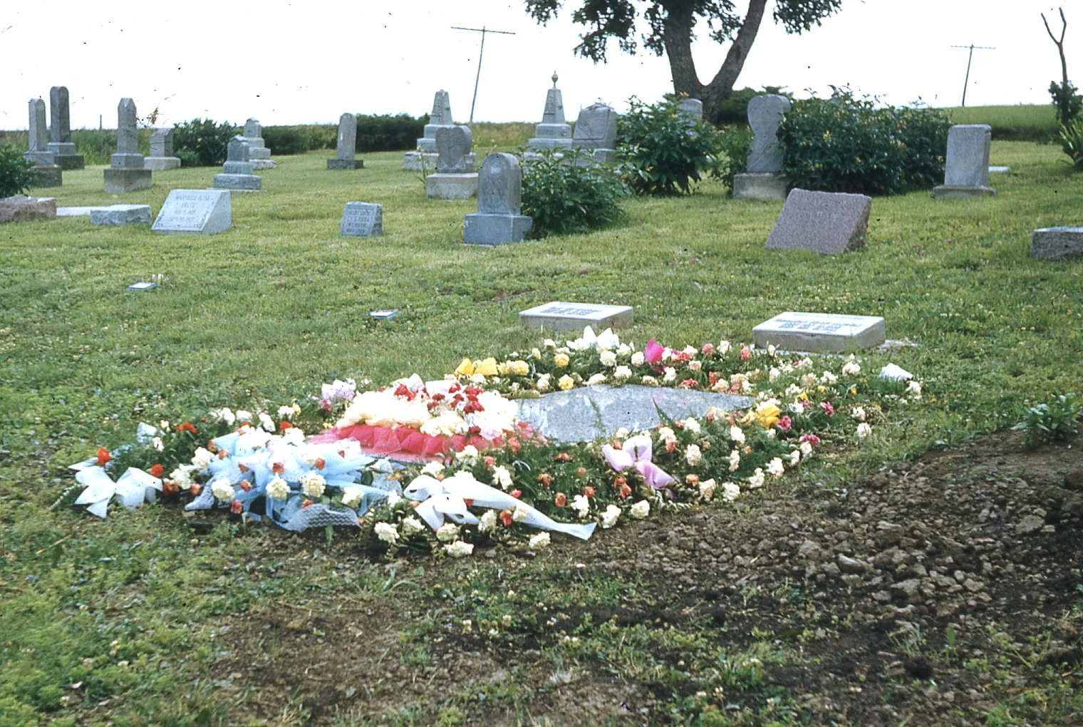 img027.jpg
