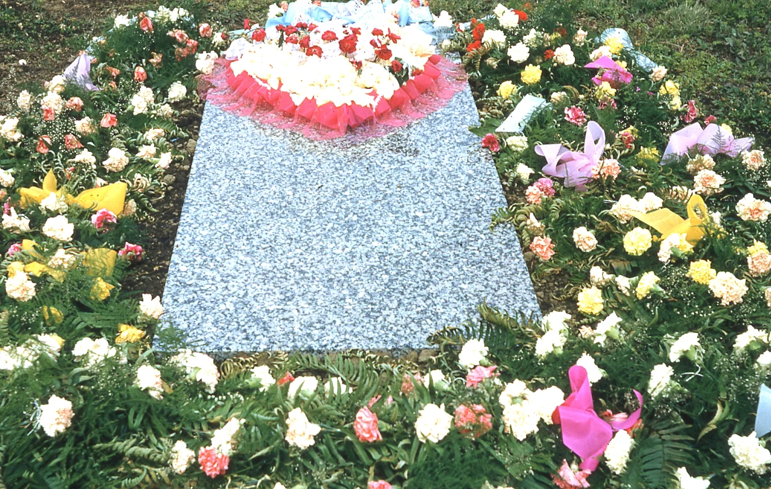 img028.jpg