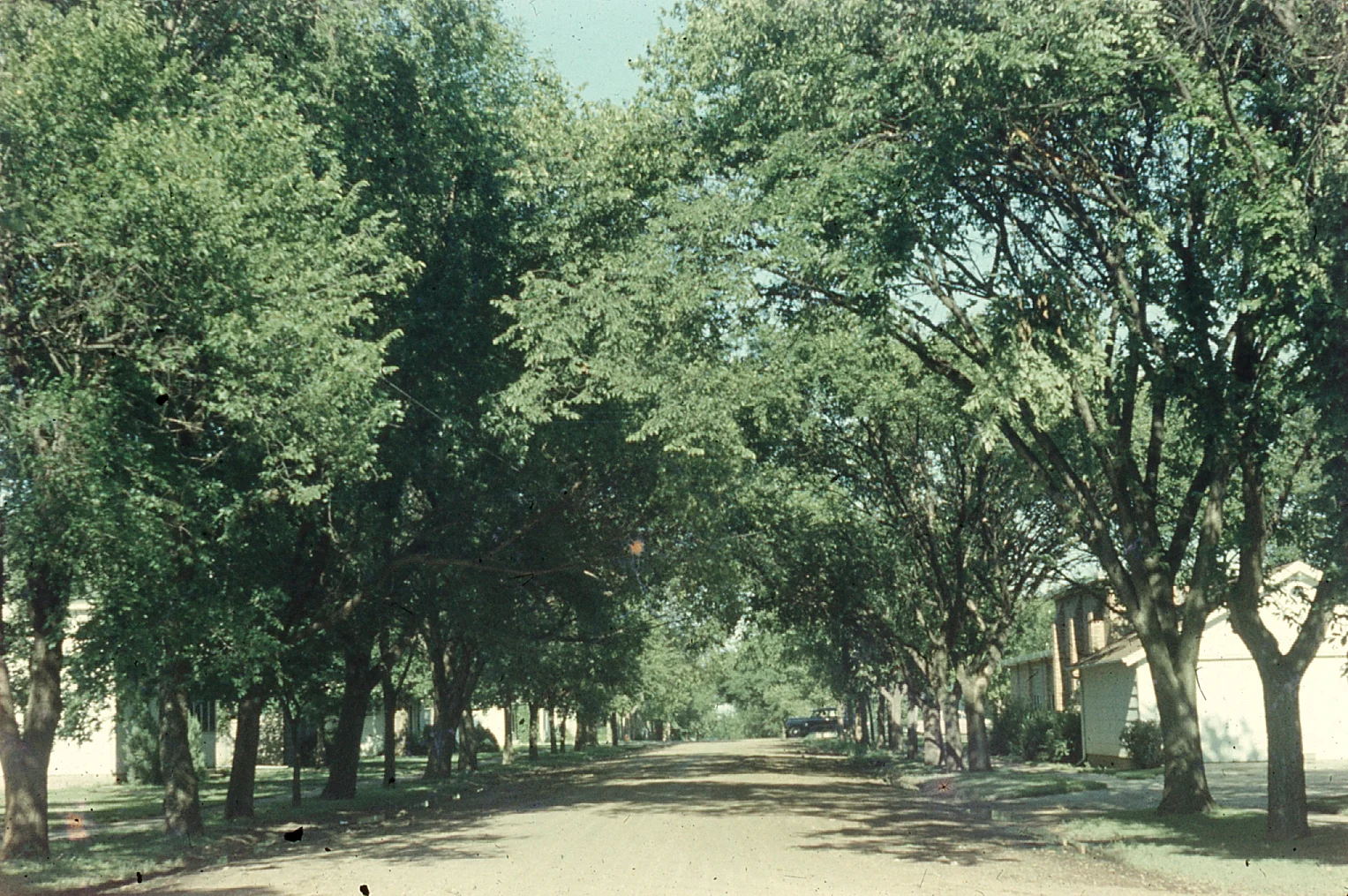 img026.jpg