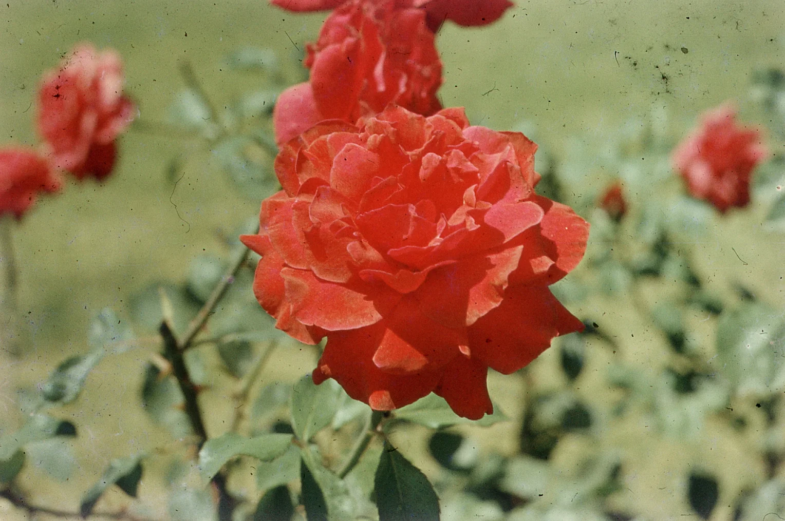 img047.jpg