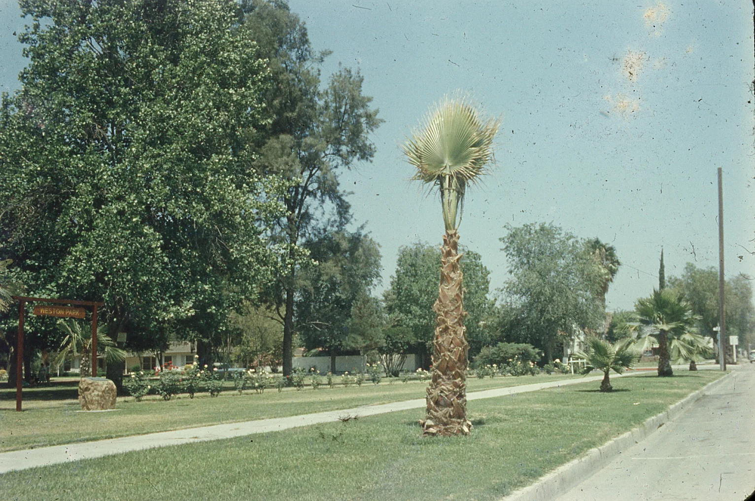 img048.jpg