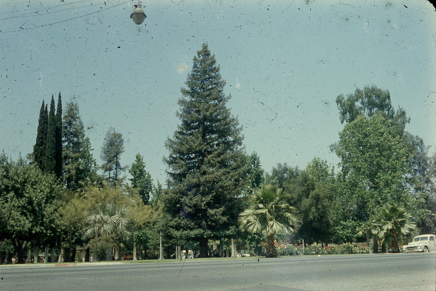 img049.jpg