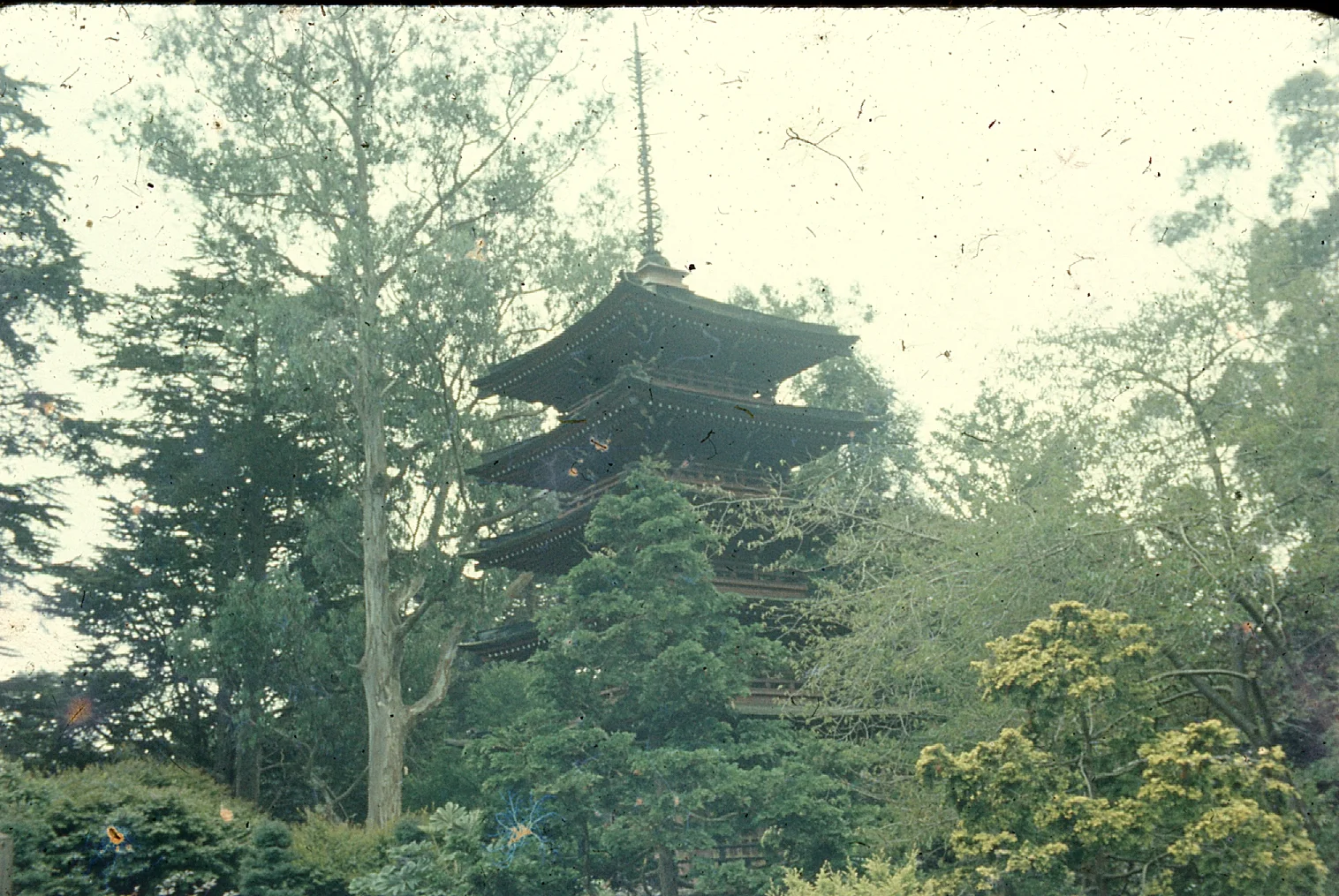 img053.jpg