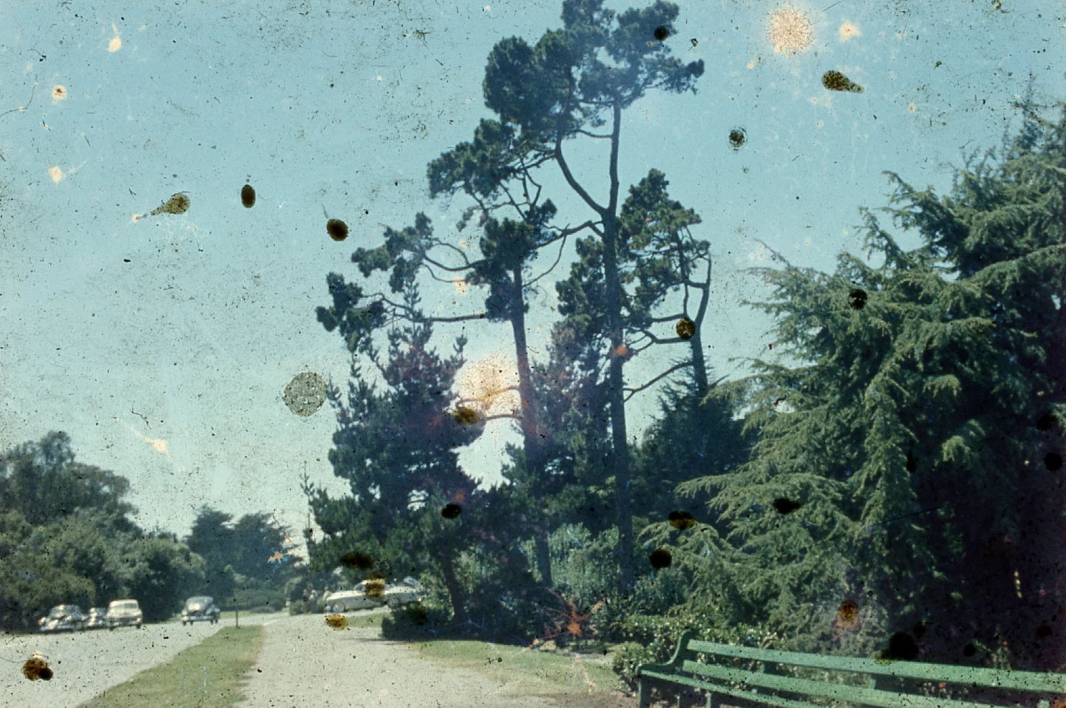 img054.jpg