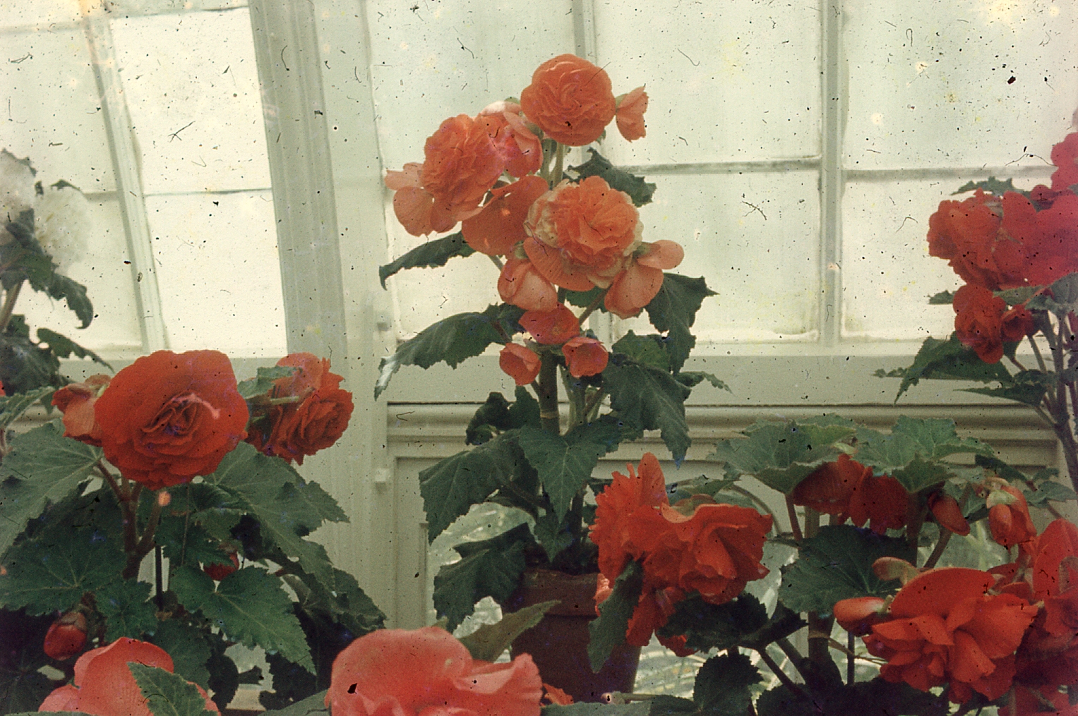 img002.jpg