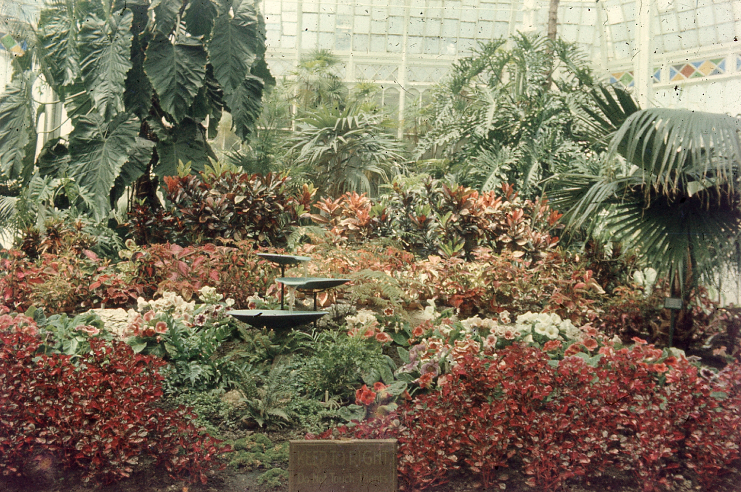img003.jpg