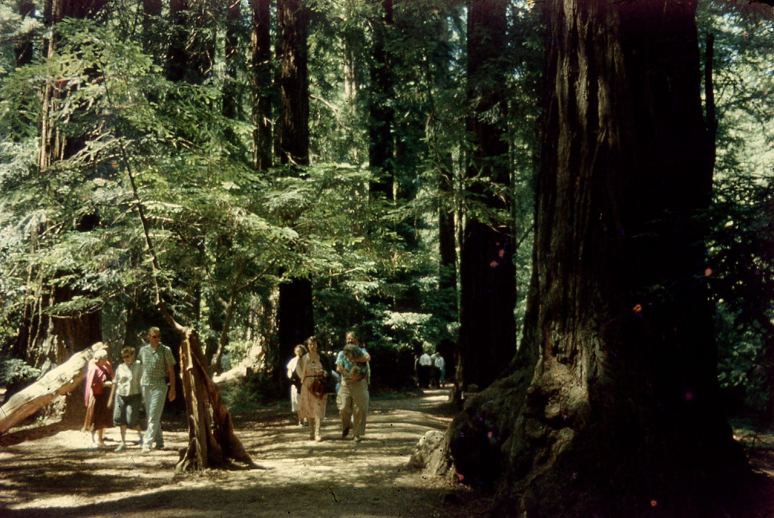 img009.jpg