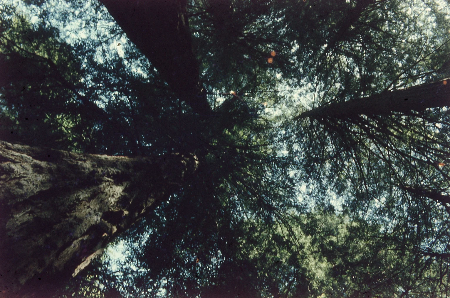 img008.jpg