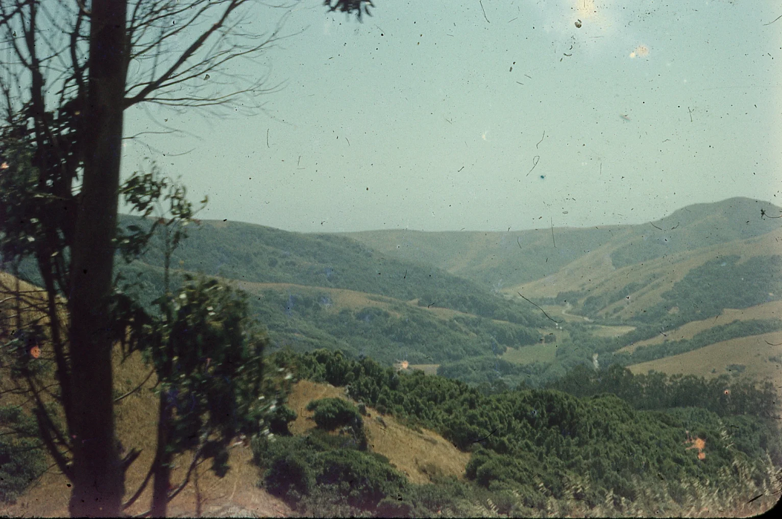 img012.jpg