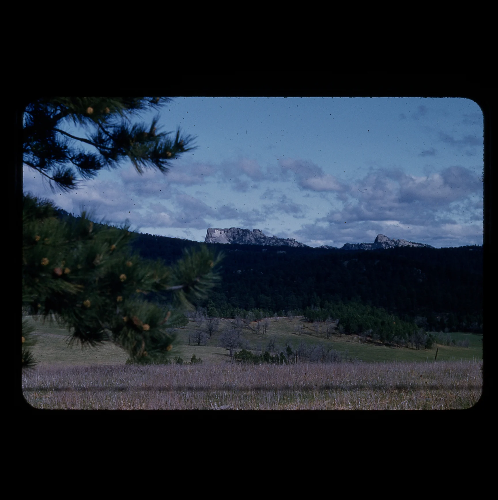 img007.jpg