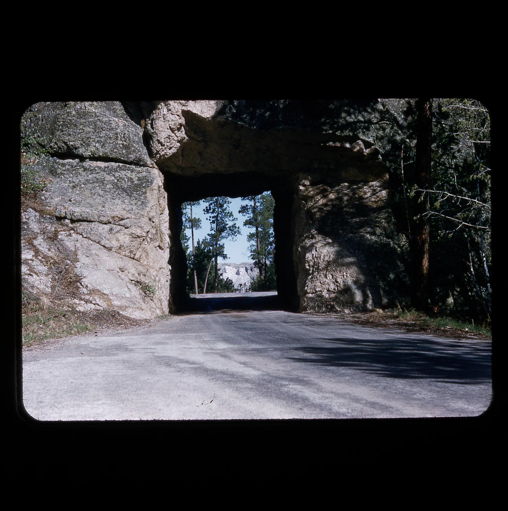 img008.jpg