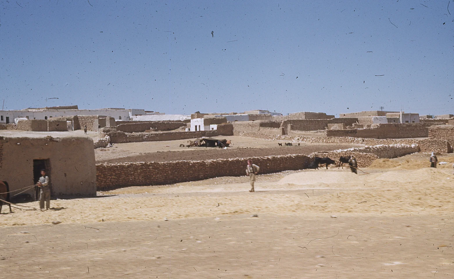img062.jpg