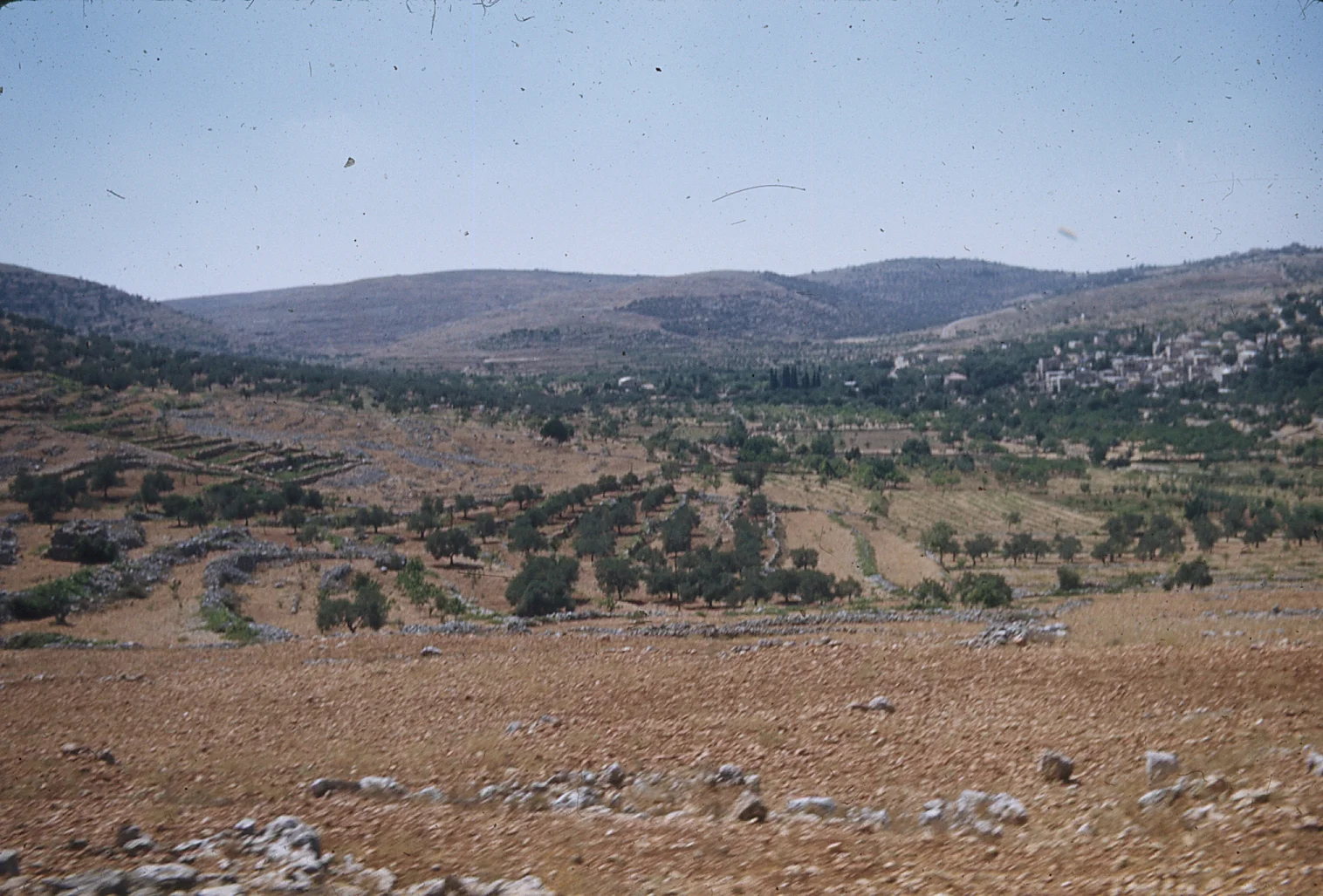 img048.jpg