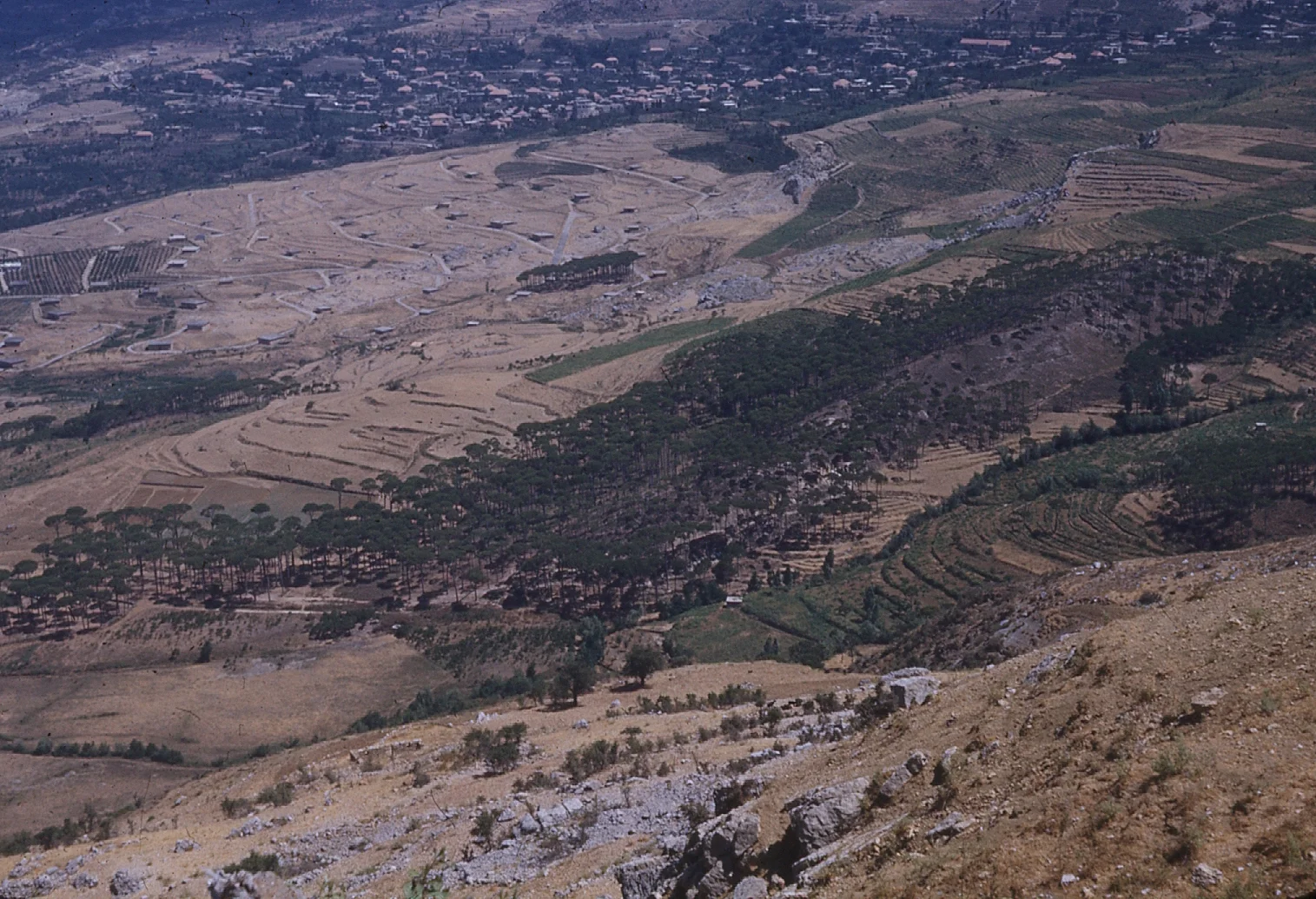img073.jpg