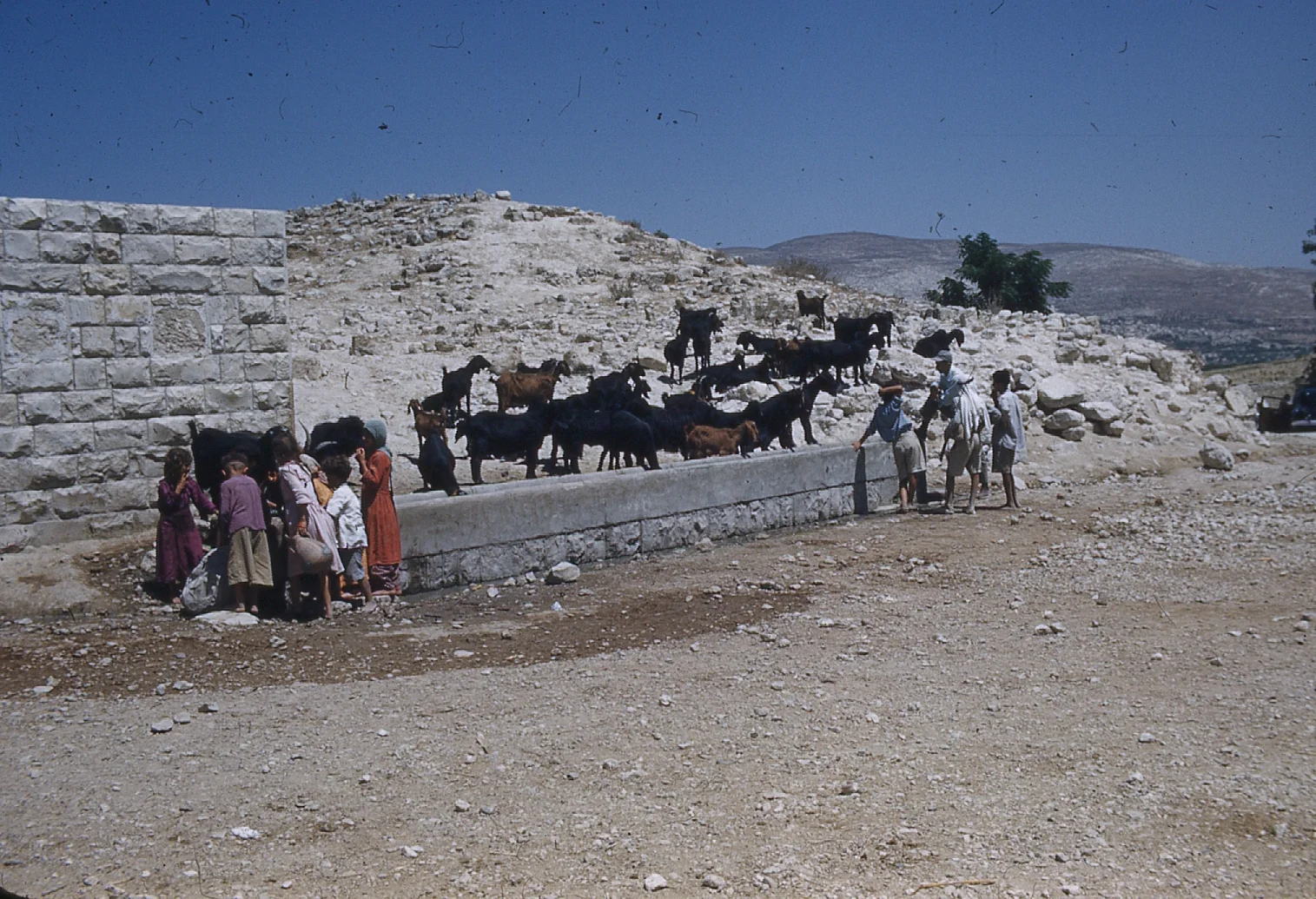 img065.jpg