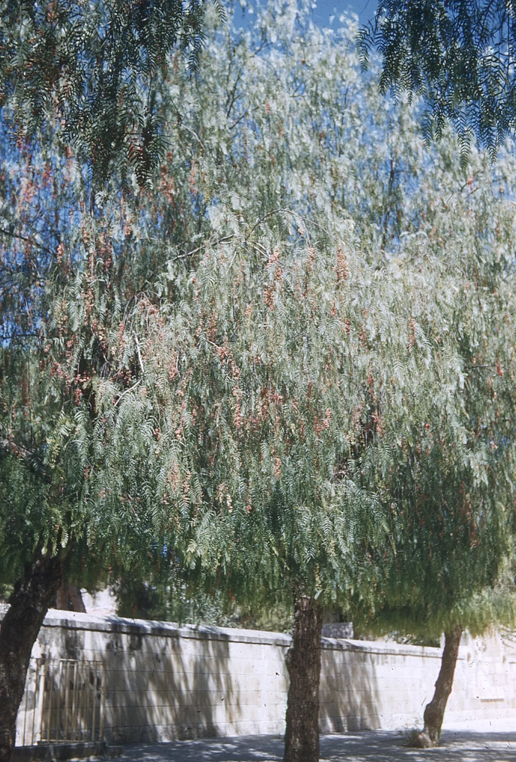 img044.jpg